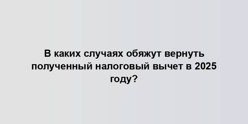 В каких случаях обяжут вернуть полученный налоговый вычет в 2025 году?