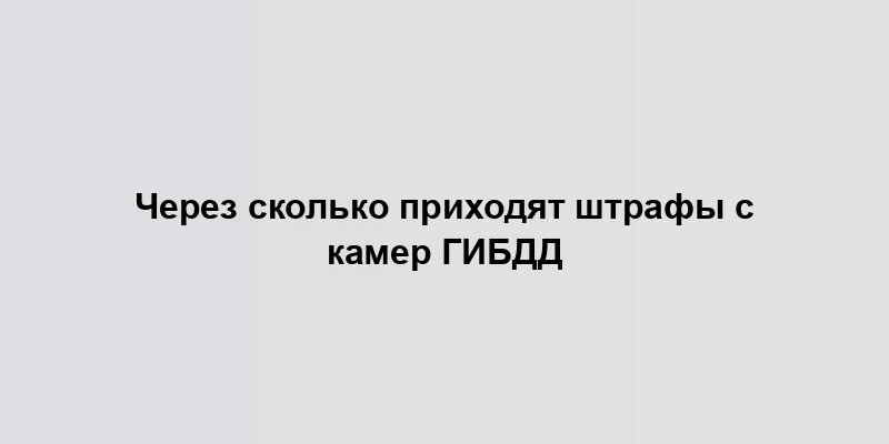 Через сколько приходят штрафы с камер ГИБДД