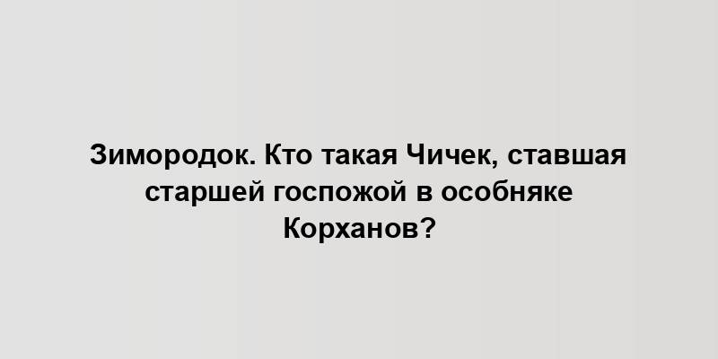 Зимородок. Кто такая Чичек, ставшая старшей госпожой в особняке Корханов?