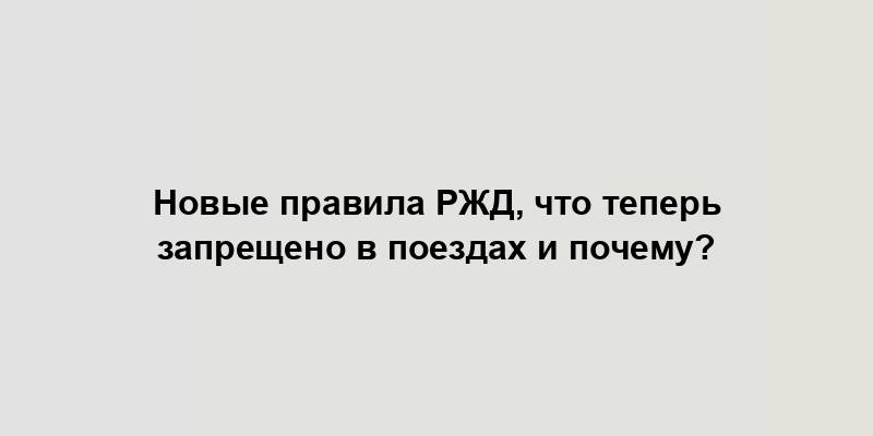 Новые правила РЖД, что теперь запрещено в поездах и почему?