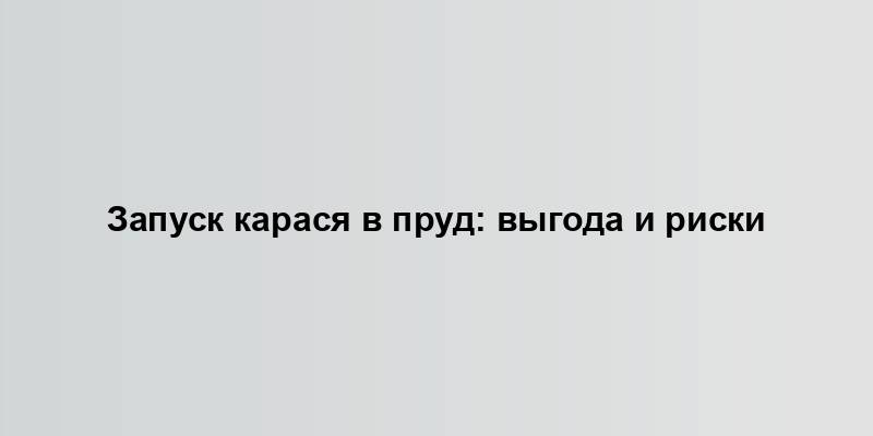 Запуск карася в пруд: выгода и риски