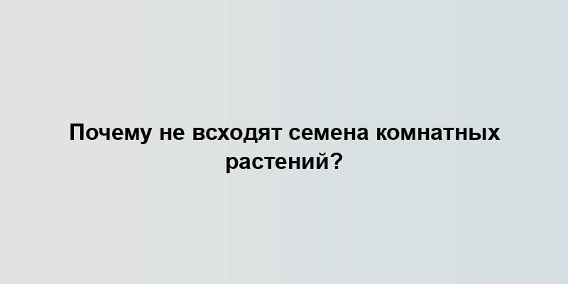 Почему не всходят семена комнатных растений?