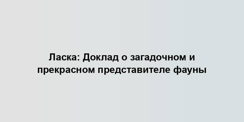 Ласка: Доклад о загадочном и прекрасном представителе фауны