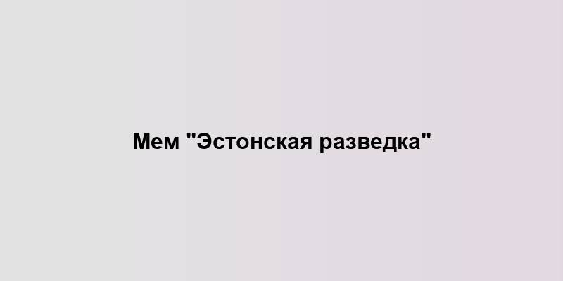 Мем "Эстонская разведка"