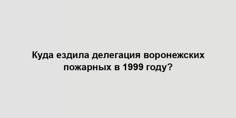 Куда ездила делегация воронежских пожарных в 1999 году?