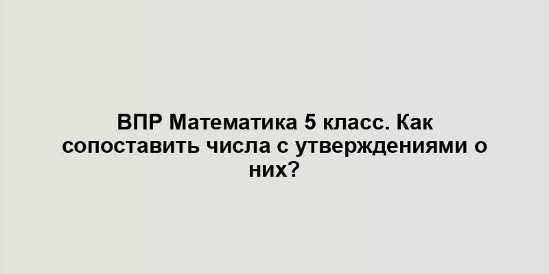 ВПР Математика 5 класс. Как сопоставить числа с утверждениями о них?