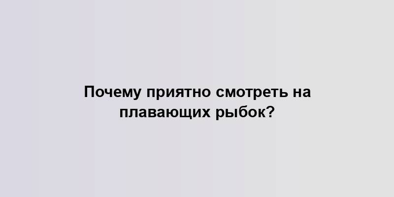 Почему приятно смотреть на плавающих рыбок?